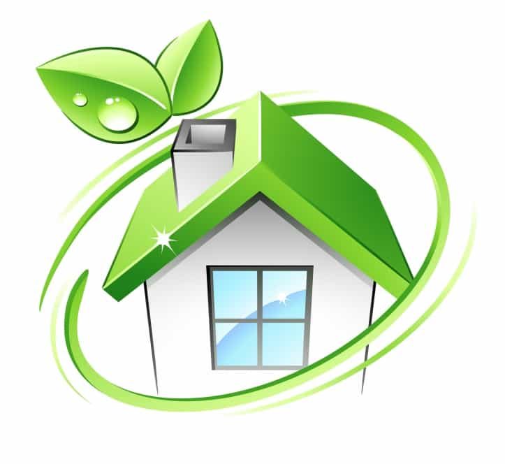 eco-cleaning